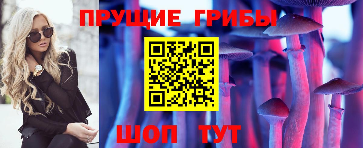 Псилоцибиновые грибы GOLDEN TEACHER  где найти   Качканар  Вход с VPN 